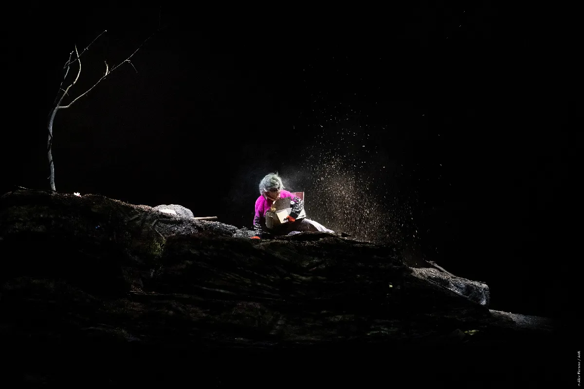 Timber警鐘響起 比利時劇團以黑色幽默喚醒生態意識